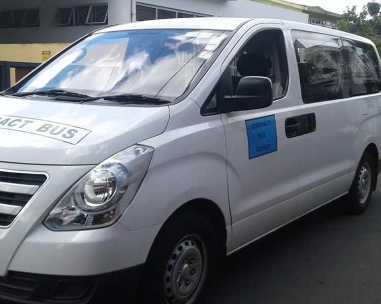 Tourist Mini Bus in Mauritius