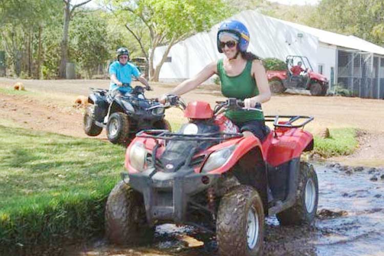 CASELA & YEMEN - BIRD & ADVENTURE NATURE PARK IN MAURITIUS CASELA & YEMEN - BIRD & ADVENTURE NATURE PARK IN MAURITIUS
