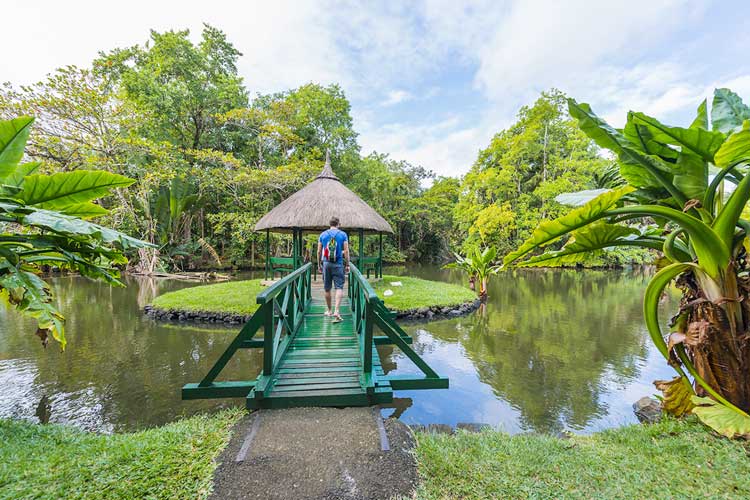 Grand Baie Garden