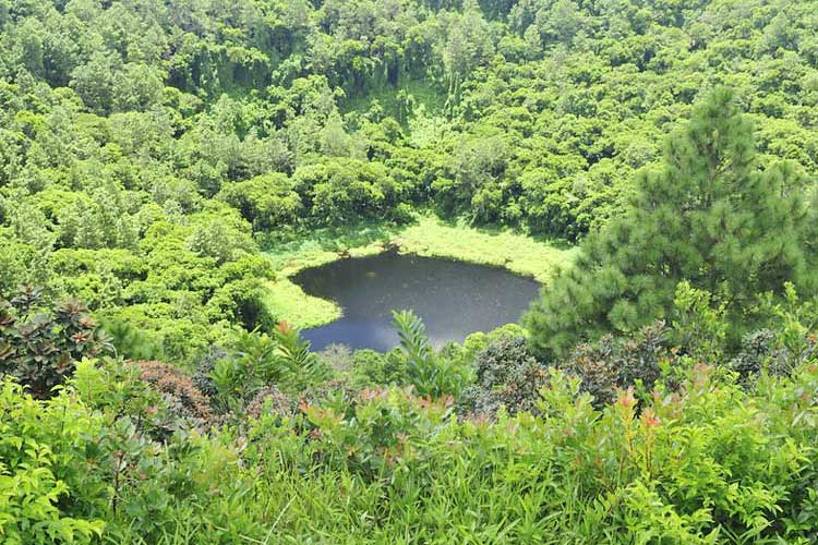 Trou aux Cerfs Volcano in Mauritius