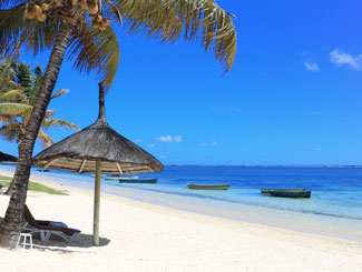 Beach Tour Operator in Mauritius