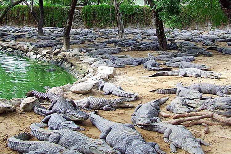 La Vanille Nature Park in Mauritius